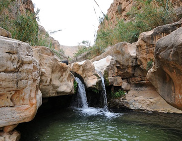 פעילות ילדים367_20210411163816.397.jpg